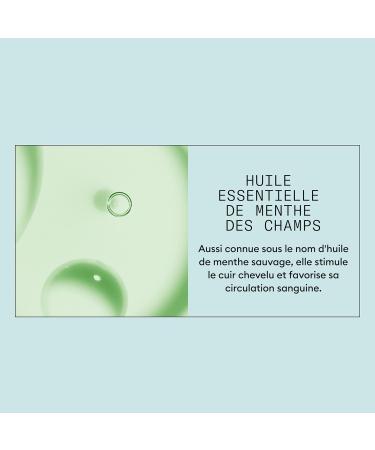 NIOXIN Scalp Recovery - Anti-Dandruff and Anti-Itch - Kit/Shampoo/Conditioner/Soothing Serum/Exfoliant - Buy Online on GoSupps.com