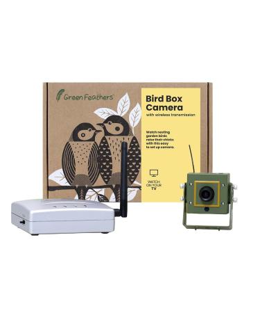 Green Feathers Bird Box Camera With Wireless Transmission Wireless Receiver Watch on your TV (Updated Model) 12V Camera - Updated Model