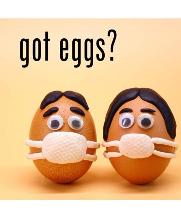 AAA Grade Whole Egg Powder - Gluten-Free, OU Kosher Certified, Made in USA - 400g/14oz - Buy Online on GoSupps.com