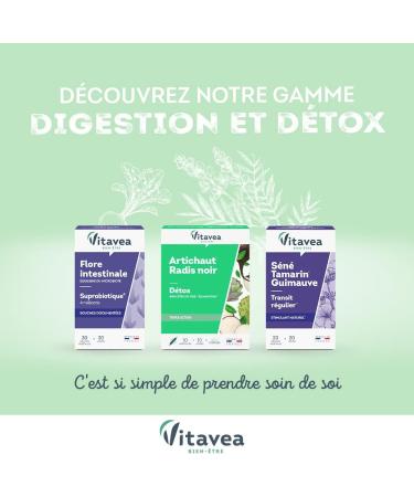 VITAVEA BIEN-ETRE - Regular Transit Food Supplement - Ideal Transit Intestinal Comfort Adult Constipation - Plum Tamarind Marshmallow - 20 capsules - 20 day cure - Made in France - Buy Online on GoSupps.com