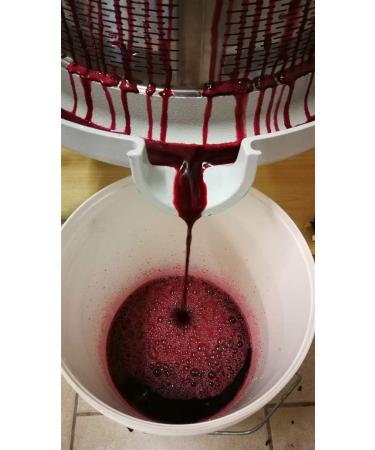 Artisanal Aronia Vinegar - Buy Online on GoSupps.com