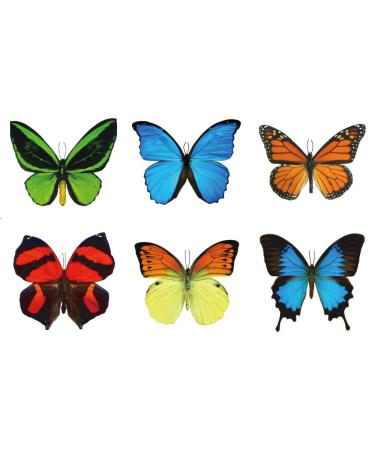 Large Butterfly Temporary Tattoos by Butterfly Utopia (6 Sheets)