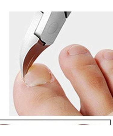 SVAASA Nail Clippers Stainless Steel Nail Clipper Cuticle Scissors Trimmer Manicure Pedicure Nippers Eagle Beak Cutter Antiskid Nail Art Tools - Buy Online on GoSupps.com