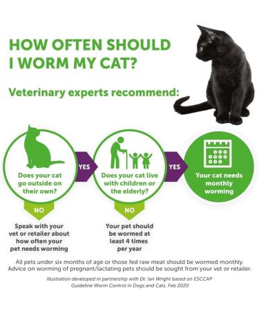 Dronspot 30 mg/7.5 mg Spot-on Solution for Small Cats - Single 1 pipette Small Cats (0.5-2.5kg) - Buy Online on GoSupps.com