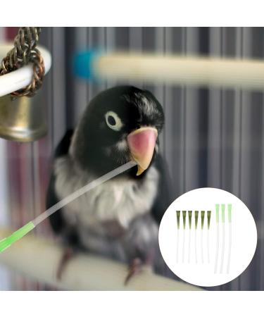 PopetPop 45 STK Feeding Hose for Parrots | Bird Accessories Food Dispenser & Medicine Water Dispenser | AR Parts Kit for Small Animals | Durable 12x0.4cm - 5PCs - Buy Online on GoSupps.com