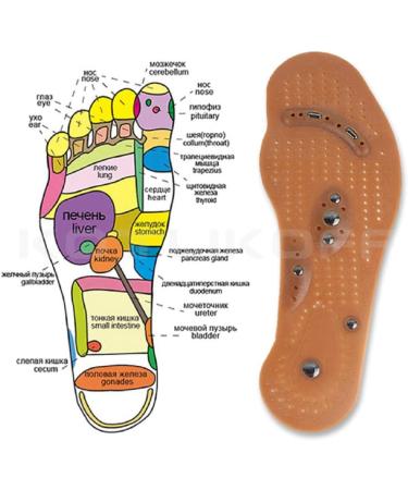 Jinon Massage Insoles for Men & Women - Acupressure Magnetic Therapy Shoe Pads 8.66-9.64in - Buy Online on GoSupps.com