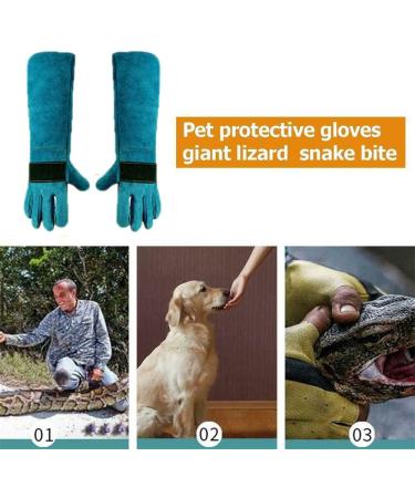 Animal Handling Gloves | Bite Resistant Protection for Dogs, Cats, Birds, Snakes, and Reptiles - Blue - Buy Online on GoSupps.com