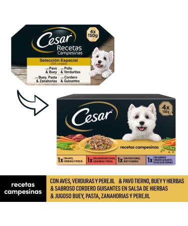 Cesar Wet Dog Food - Rural Recipes in Sauce 24 Pack (6 x 4 Cups 150g) - Premium International Shipping - Buy Online on GoSupps.com