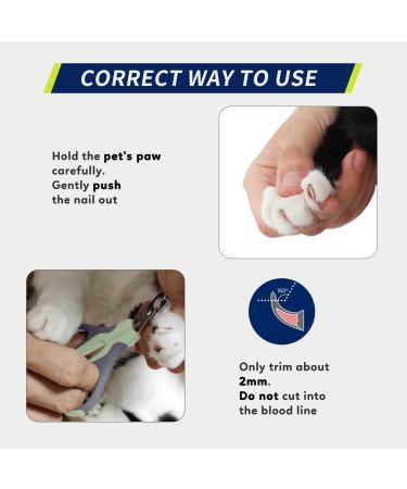 Wepet Claw Scissors for Pets - Professional Nail Clippers for Cats Dogs Kittens & Small Animals - Safe & Spicy Design #05 Gray/Tea Green - Buy Online on GoSupps.com