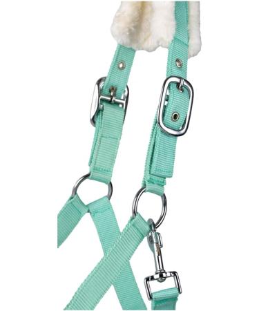 Shop RL24 Halter with Plush Padding - BASICLINE in 6 Colors for Shetland Pony Thoroughbred & Warmblood | Light Green Warmblood Edition - Buy Online on GoSupps.com