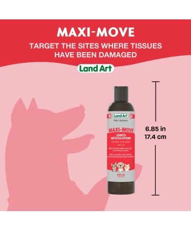 Maxi-Move Joints Supplement for Pets for Cats and Dogs - Natural Formula with Collagen and Glucosamine with Anti-Inflammatory Extracts Natural Beef Flavor - 240ml Made in Canada - Buy Online on GoSupps.com