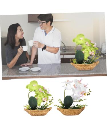 TOPBATHY 3pcs Rn Gift Phalaenopsis Home Accents Decor The Gift Home Forniture Decor Artificial Flower Bonsai Decor for Home Office Decor Garden Simulated Plant Double Fork Fake Orchid Greenx3pcs 27*17.5cmx3pcs - Buy Online on GoSupps.com