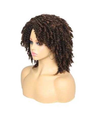 Hanne Fashion Short Kinky Curly Ombre Brown Wig | Side Part Afro Curly Synthetic Wig for Black Women | Heat Resistant Fiber | 1B/30 - Buy Online on GoSupps.com