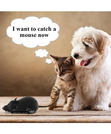 Aerbee Remote Control Rat Toy Electronic RC Mouse Toy Emulation Flocking Rat Toy Interactive Cat Toys Pet Toys Funny Wireless Chasing Prank Joke Scary Trick Rats Animal for Pets Novelty Gift - Buy Online on GoSupps.com