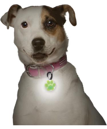 Nite Ize PetLit LED Collar Light - Clear Jewel: Keep Your Pet Visible and Safe - Buy Online on GoSupps.com