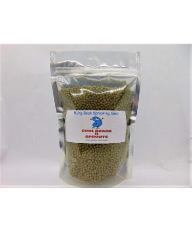 Mung Bean Seeds for Sprouting Microgreens ,6 ounces, "COOL BEANS n SPROUTS" Brand, A superfood packed with antioxidants and health-promoting nutrients. A family run USA business, Jacobs Ladder Ent.