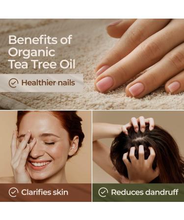 Gya Labs Organic Tea Tree Oil - 10ml (Pack of 1) for Skin, Hair, Face, Toenails, Scalp & Piercings - Australian Tea Tree Essential Oil - Buy Online on GoSupps.com