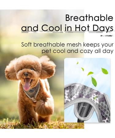 Thinkpet No-Pull Dog Harness Leash Set - Breathable & Adjustable for Small Medium Large Dogs | Safe & Reflective Gray Harness (1 Pack) - Buy Online on GoSupps.com