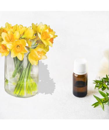 Brown Glass Dropper Bottles Set - 28pcs 10ml Empty Essential Oil Containers with White Lids | Perfect for Perfume & Fragrance Samples - Buy Online on GoSupps.com