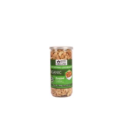 Blessfull Healing Organic Natural Vegan Mint Masala Roasted Halves/Pieces Cashew Nuts Crunchy Kaju 500 Gram