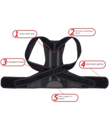 Back Support Back Brace Lumbar Support Shoulder Posture Corrector Scoliosis Back Brace Full Back Support Belt Adjustable Back Support Belt(X-Large) X-Large Black - Buy Online on GoSupps.com