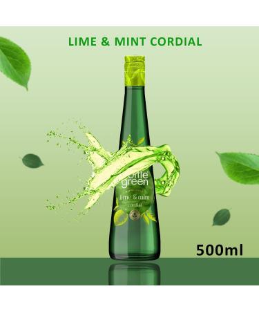 Bottle Green Cordial Pick N Mix - Choose From Bottle with 5 Flavours - Elderflower Ginger & Lemongrass Summer Raspberry Lime & Mint Pomegranate & Elderflower - Pack of 3 500 ml (Pack of 3) - Buy Online on GoSupps.com