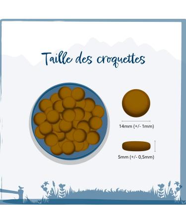 Wild Animal Senior Premium Dry Dog Food for Senior Dogs Turkey with Sweet Potato and Cranberry Grain Free Pack of 1 (1 x 6 kg) - Buy Online on GoSupps.com