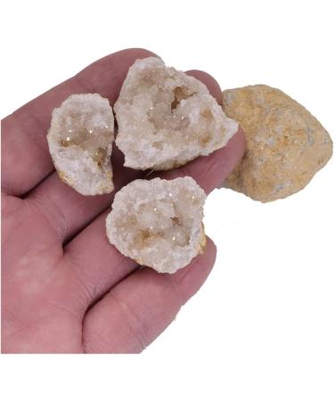 Natural Crystal Rough Unopened Natural Agate Geode Raw Quartz Mineral Energy Healing Crystals Rough Stone Cluster Cave Gemstones Collection Specimen (Size : 5PCS) - Buy Online on GoSupps.com
