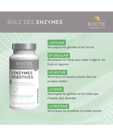 BIOCYTE 5 Digestive Enzymes - Food Supplement Digestion - Based on Amylase Cellulase Lactase Lipase Protease and Peppermint - 60 Capsules - 30 Days Taken - Buy Online on GoSupps.com