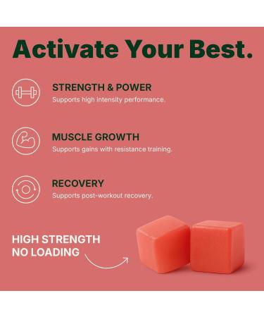 Creatine Monohydrate Gummies 3600mg Real Creatine Per Serving Transparent Label Juicy Watermelon Flavor Lab-Tested Strength & Recovery Supplement Watermelon 1 Count (Pack of 120) - Buy Online on GoSupps.com