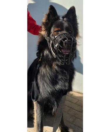 Dingo Gear Rubberized Metal Muzzle for Medium Dogs - Comfortable & Durable Solution for German Shepherds - Ideal for Long Walks | S03041 - Buy Online on GoSupps.com