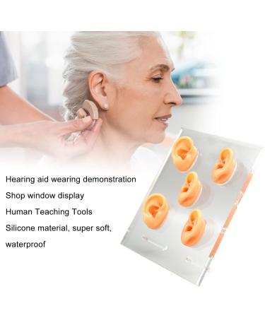5Pcs Waterproof Soft Ear Model Displays for ENT Hospitals - Complete Tools Included - Buy Online on GoSupps.com