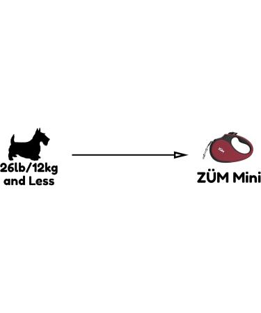 Z M Mini Retractable Dog Leash for Pets Under 26lbs Retraction Tangle-Free 10ft Nylon Ribbon One Hand Multifunction Lock and Detachable Bite Resistant Extender (Mini Red) Mini Red - Buy Online on GoSupps.com