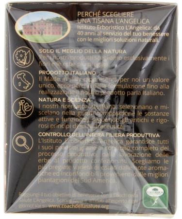  Italian Gourmet E.R. L' Angelica Tisana Puro Cacao Vitality tisane de cacao pur 95 % lot de 15 filtres + bo te de 400 g Gourmet italienne Polpa di Pomodoro - Buy Online on GoSupps.com