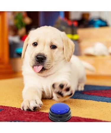 Naveso Dog Buzzers with Recording Function - 4 Interactive Sound Buttons for Enhanced Dog Training & Engagement - Buy Online on GoSupps.com
