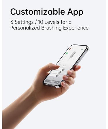 Buy Laifen Wave Electric Toothbrush - Oscillation & Vibration Sonic Toothbrush for Adults 3 Brush Heads IPX7 Waterproof - Matte Stainless Steel International Shipping Available - Buy Online on GoSupps.com