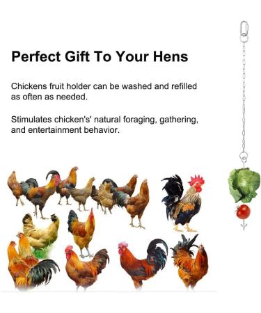 Chicken Toys for Hens Chicken Veggies Skewer Fruit Food Holder 3 Pcs Pet Chicken Vegetable Hanging Feeder Toy Stainless Steel Foraging Toy for Hens Large Birds Treat Skewer - Buy Online on GoSupps.com