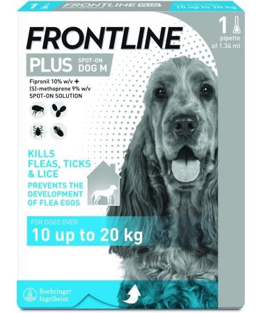 Frontline Plus For Dogs 10-20kg - 1 Pipette Flea And Tick Treatment For Dogs Frontline Flea Treatment For Dogs Frontline Spot On For Dogs Frontline For Dogs - Buy Online on GoSupps.com