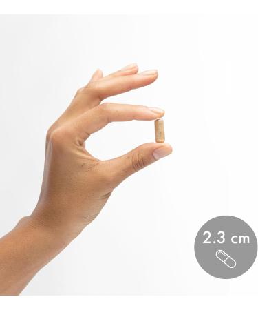 Dr. Mercola Complete Probiotics - 70 Billion CFU - Supports Immune, Digestive & Gut Health - Features 10 Strains - Shelf Stable - GMO-Free, Gluten-Free & Soy-Free - 90 Capsules (90 Servings) 90 Count (Pack of 1) - Buy Online on GoSupps.com