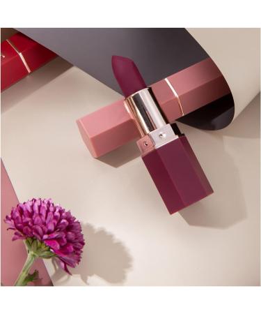 Long Lasting Matte Lipstick for Women - Waterproof & Hydrating Red Lipstick (06 Plum) - Buy Online on GoSupps.com