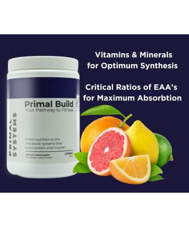 Primal Build Pre Workout Powder - EAA Amino Energy for Men & Women - Maximize Gains & Reduce Muscle Soreness - Citrus Flavor (30 Servings - Buy Online on GoSupps.com