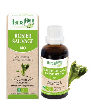 HERBALGEM - Macerate Mother - Organic Wild Rose - Nutritional Supplement Gemmotherapy Concentrated - Fresh Bud Extract - For Natural Defenses - Vegan - 30 ml