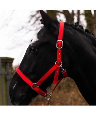 Horse delinis halter for warm blood thoroughbred cold blood pony-stable-halter pasture pasture 2-fold adjustable thorn buckle safe & tear-resistant (red cold blood) red cold blood