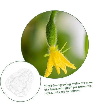 GANAZONO 9 Pcs Vegetable Mold Fruit Shaper Planting Vegetable DIY Cucumber Watermelon 9x8cmx3pcs Transparentx3pcs - Buy Online on GoSupps.com