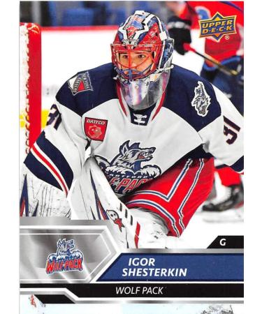 2019-20 UD AHL Hockey #24 Igor Shesterkin Hartford Wolf Pack Official American Hockey League Trading Card by Upper Deck