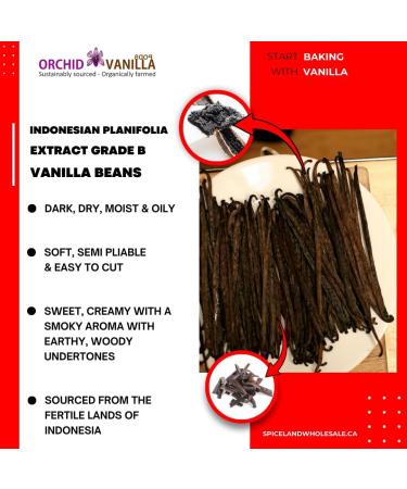 Indonesian Extract Grade-B Vanilla Beans For Extract Making By Count (50 Beans (Pack of 1)) - Buy Online on GoSupps.com