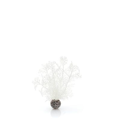 Biorb 46068 horn coral s white - small aquaria decoration |Natural artificial coral made of plastic for the decoration of the aquarium |Easy cleaning |Suitable for fresh water and sea water Small white