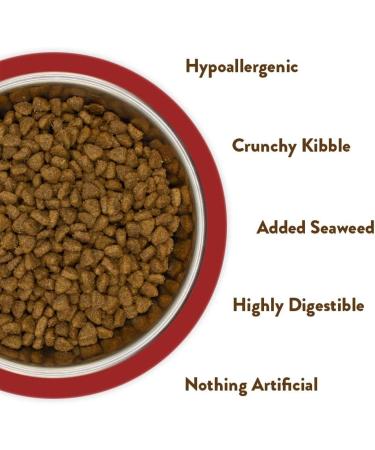 Lovejoys Hypoallergenic Complete Dry Adult Dog Food Turkey and Rice 2 kg Turkey and Rice 2 kg (Pack of 1) - Buy Online on GoSupps.com