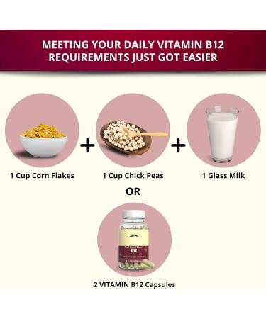 Plant Based Vitamin B12 Supplement for Men & Women | Organic Formulation for Vegetarians & Vegans to Support Nervous System & Brain Function (120 Capsules) - Buy Online on GoSupps.com