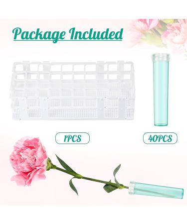 40 Piece Floral Tubes with Rack Holder for Flower Arrangements - Green 2.8 x 0.7 Inch - Buy Online on GoSupps.com